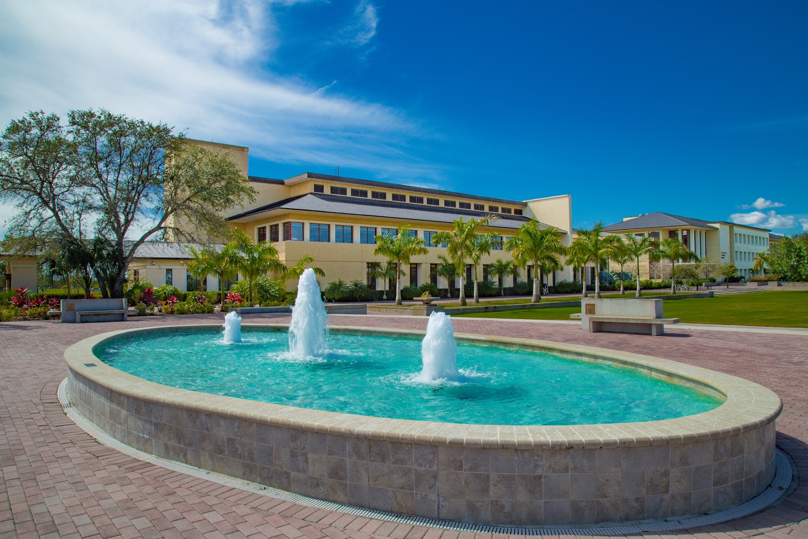 Ave Maria University A World class School