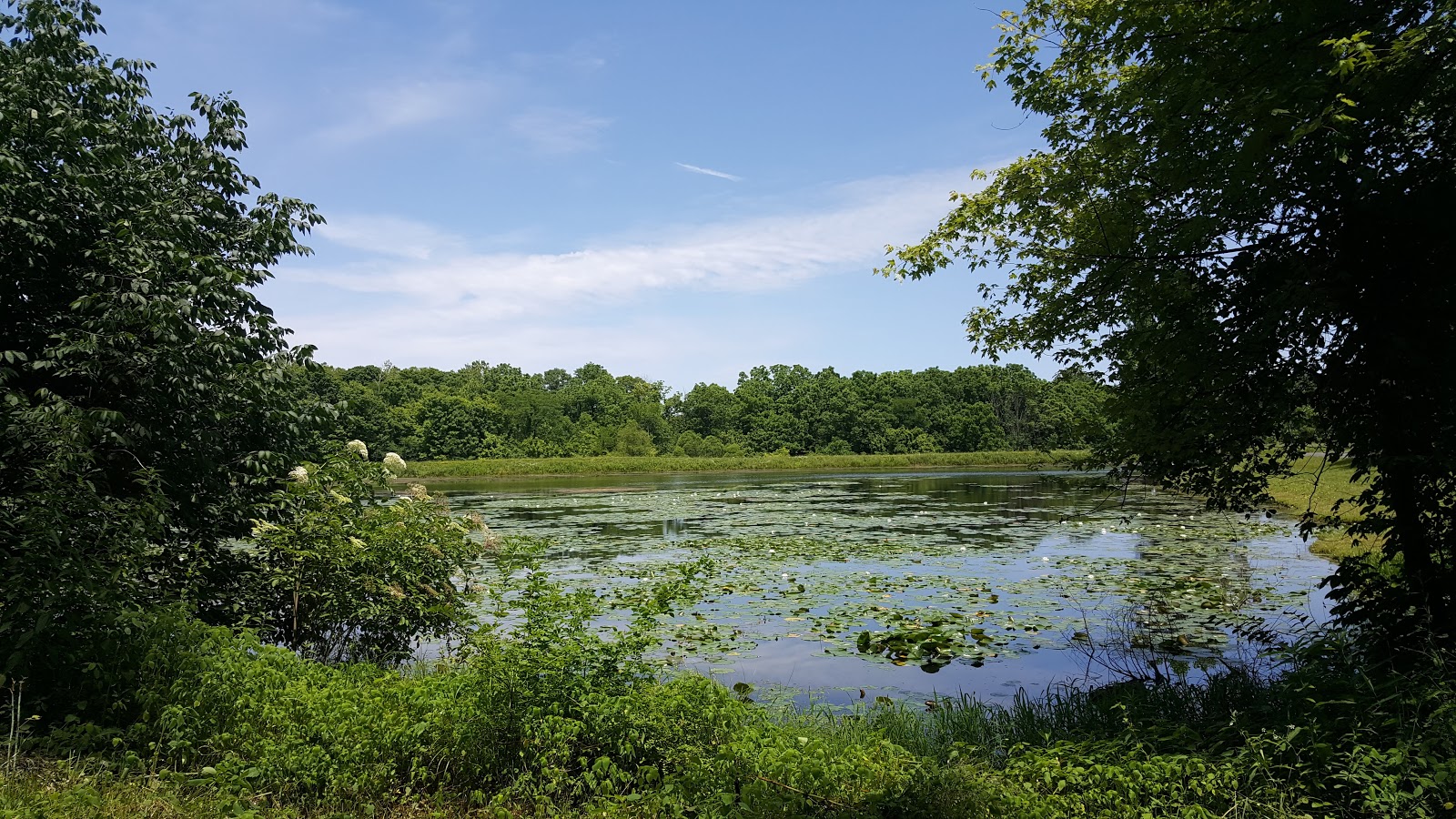 Slate Run Metro Park