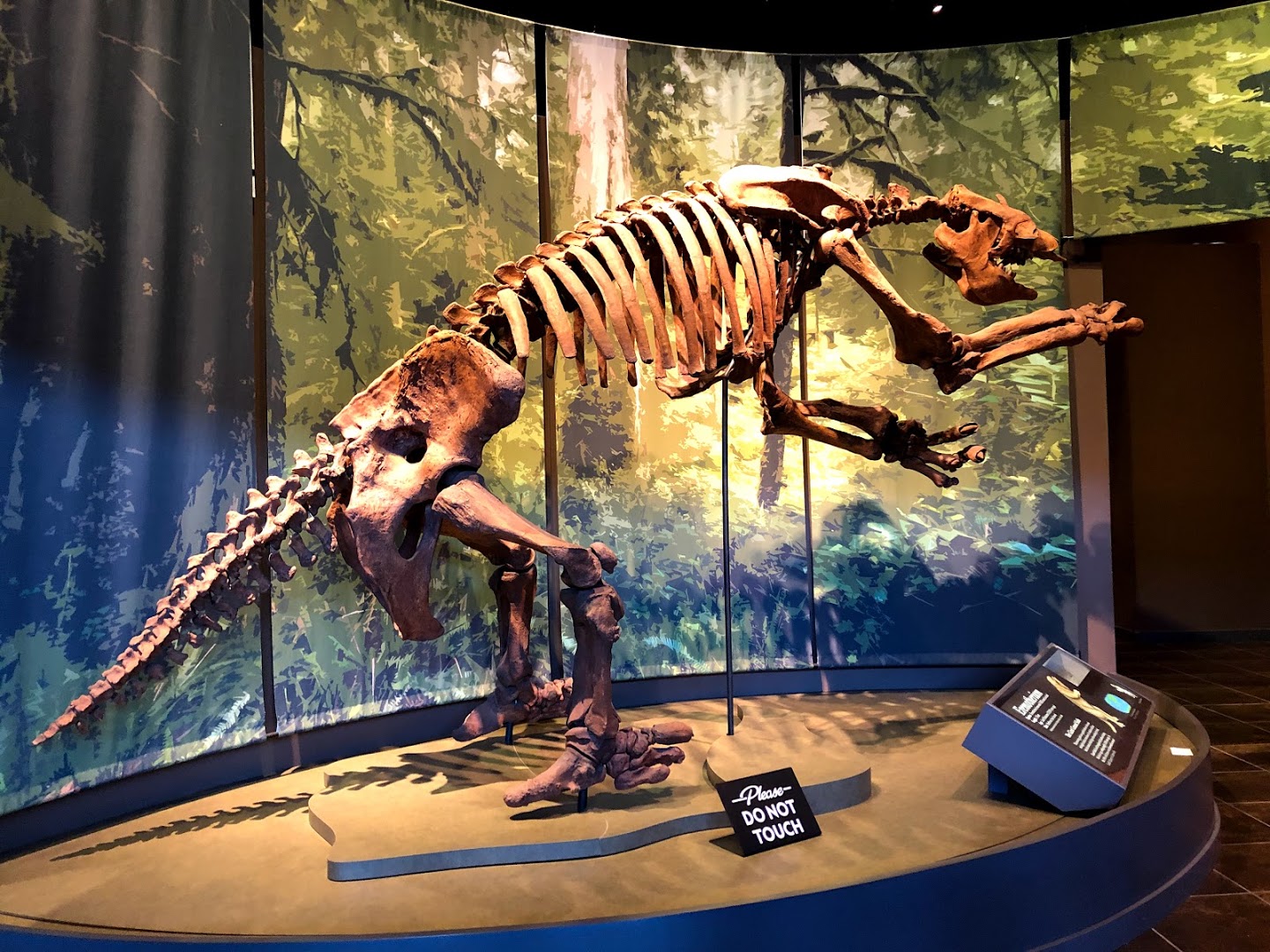 Tellus Science Museum